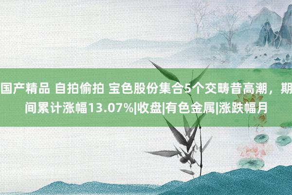 国产精品 自拍偷拍 宝色股份集合5个交畴昔高潮，期间累计涨幅13.07%|收盘|有色金属|涨跌幅月