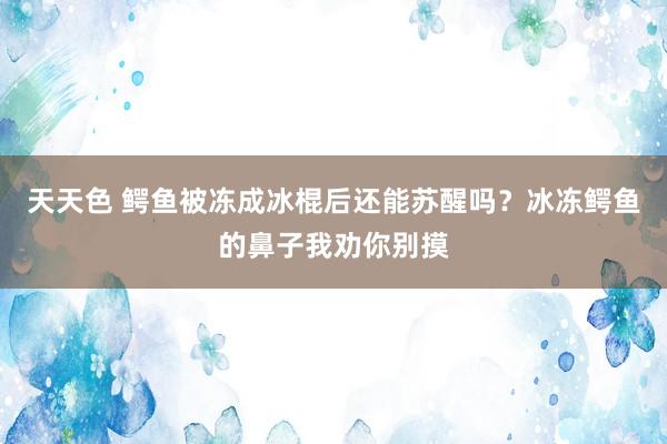 天天色 鳄鱼被冻成冰棍后还能苏醒吗？冰冻鳄鱼的鼻子我劝你别摸