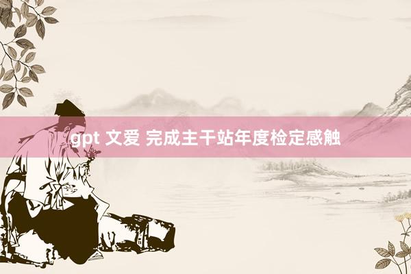 gpt 文爱 完成主干站年度检定感触