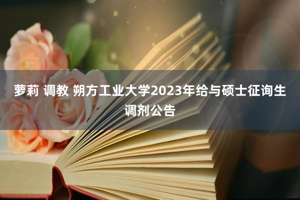 萝莉 调教 朔方工业大学2023年给与硕士征询生调剂公告