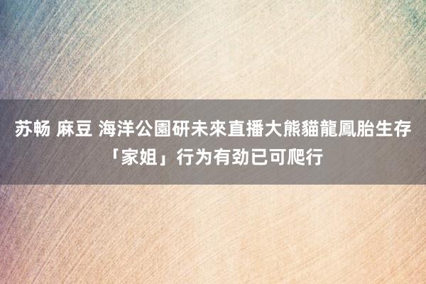 苏畅 麻豆 海洋公園研未來直播大熊貓龍鳳胎生存　「家姐」行为有劲已可爬行