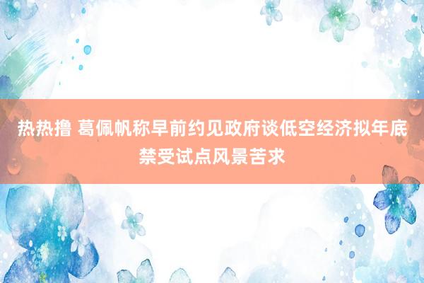 热热撸 葛佩帆称早前约见政府谈低空经济　拟年底禁受试点风景苦求