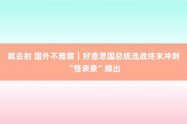 就去射 国外不雅察｜好意思国总统选战终末冲刺“怪表象”频出