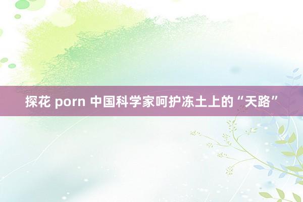 探花 porn 中国科学家呵护冻土上的“天路”