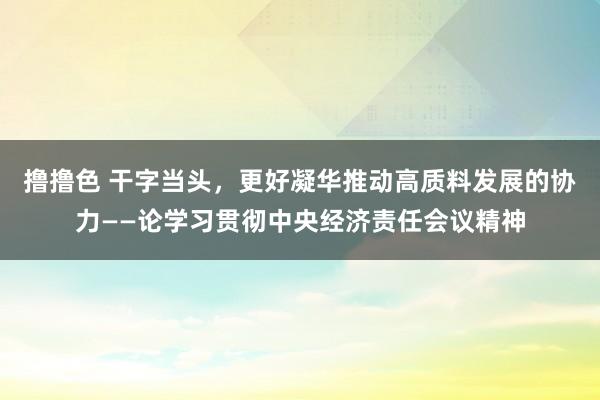 撸撸色 干字当头，更好凝华推动高质料发展的协力——论学习贯彻中央经济责任会议精神